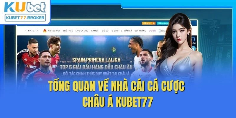 Tổng quan về nhà cái cá cược châu Á Kubet77